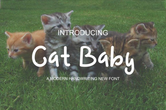 Cat Baby: A Display Font That Feels Like Sunshine on Paper