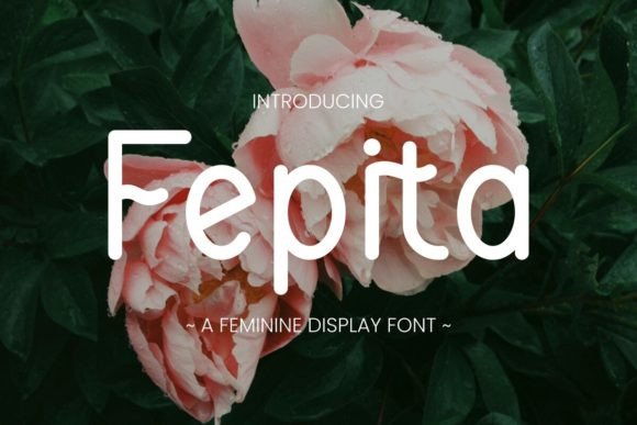Fepita: A Delicate Display Font for Editorial Charm
