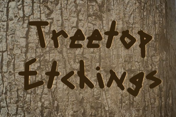 Treetop Etchings: A Thoughtful Display Font for Editorial Calm